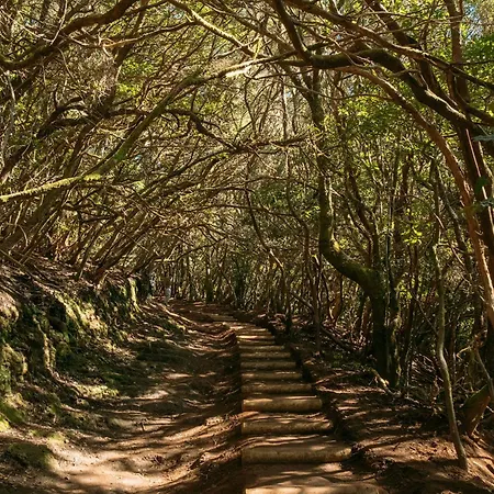 Apartment Casa Mila Tejina